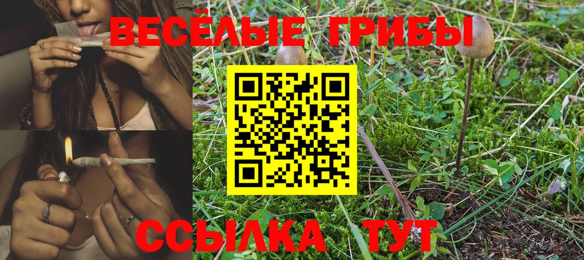 Галлюциногенные грибы прущие грибы  Вход с VPN  Стерлитамак 