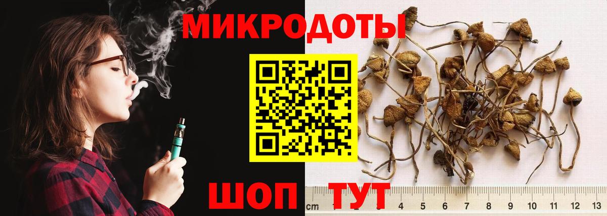 Галлюциногенные грибы мухоморы Стерлитамак